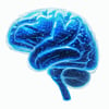 Generate an image of a windows blue brain, white background-1