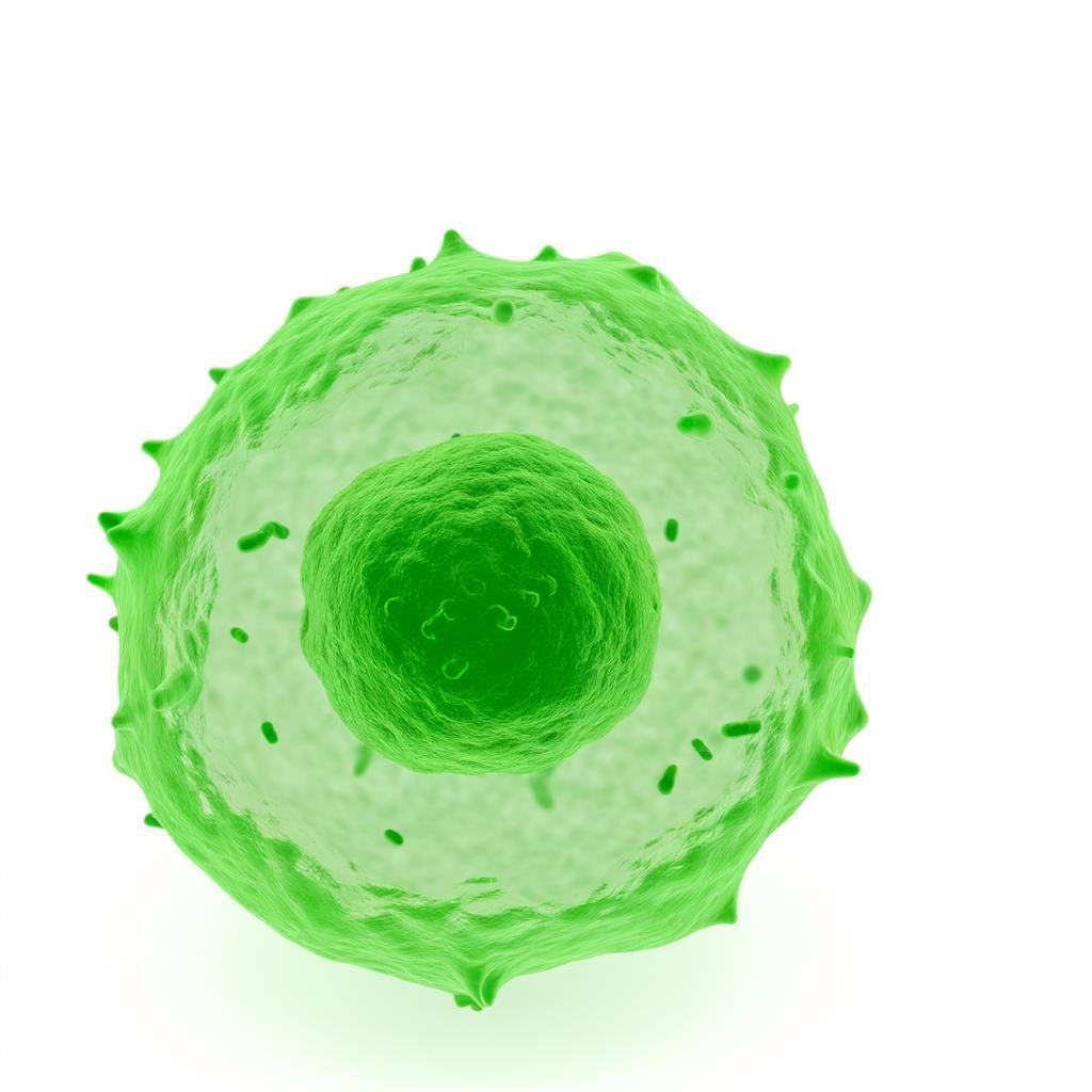 a light shamrock green human immune cell on a white background