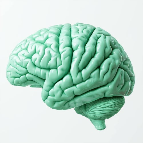 a mint green brain, white background