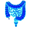 a windows blue human colon with a white background