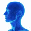 an electric blue silhouette of a human head, white background