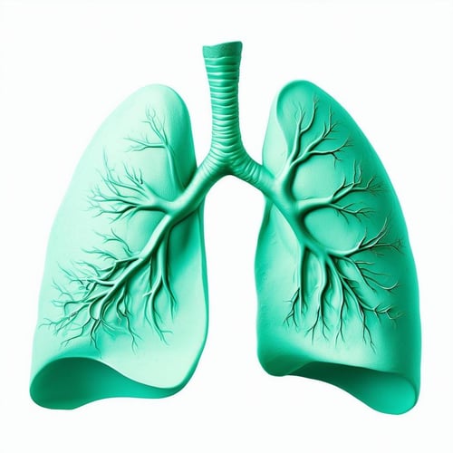 mint green lungs, white background