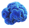 Blue tumor