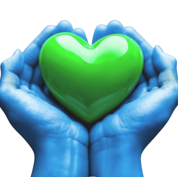 Blue hands holding a green heart